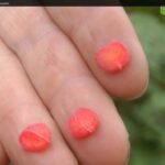 Širdies formos putino kauliukai