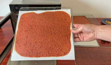 silikoninis padėklas pastilėms