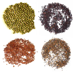 Mikrožalumynų sėklų rinkinys