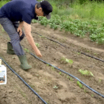 nimbamedis_pries_sliuzus