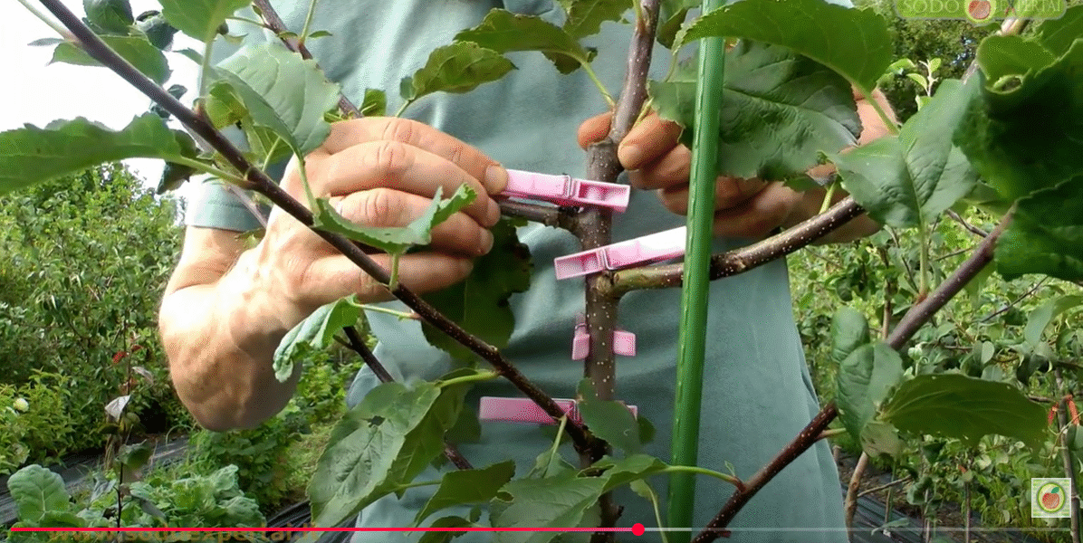 Vienmetuko formavimas video