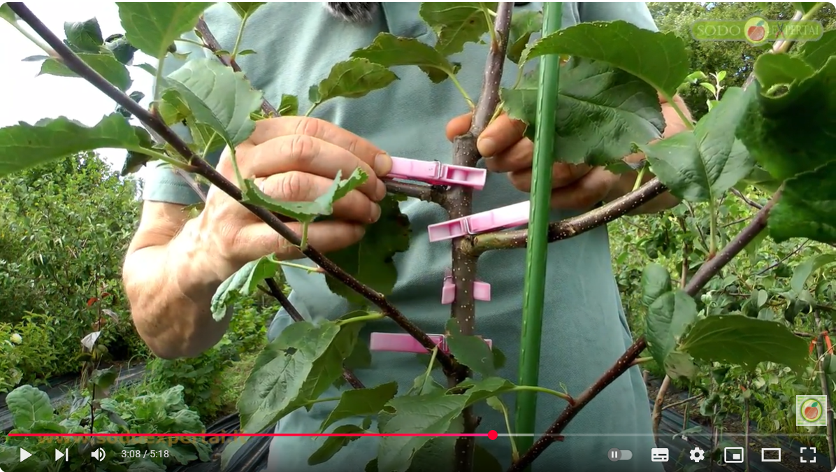 Vienmetuko formavimas video