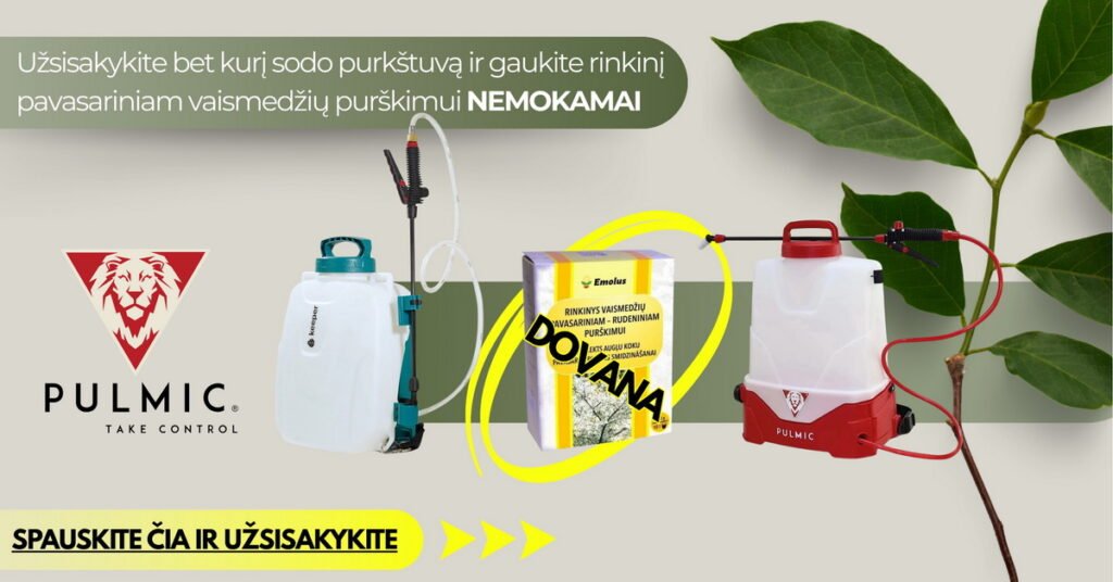 Dizainas be pavadinimo 1200x628