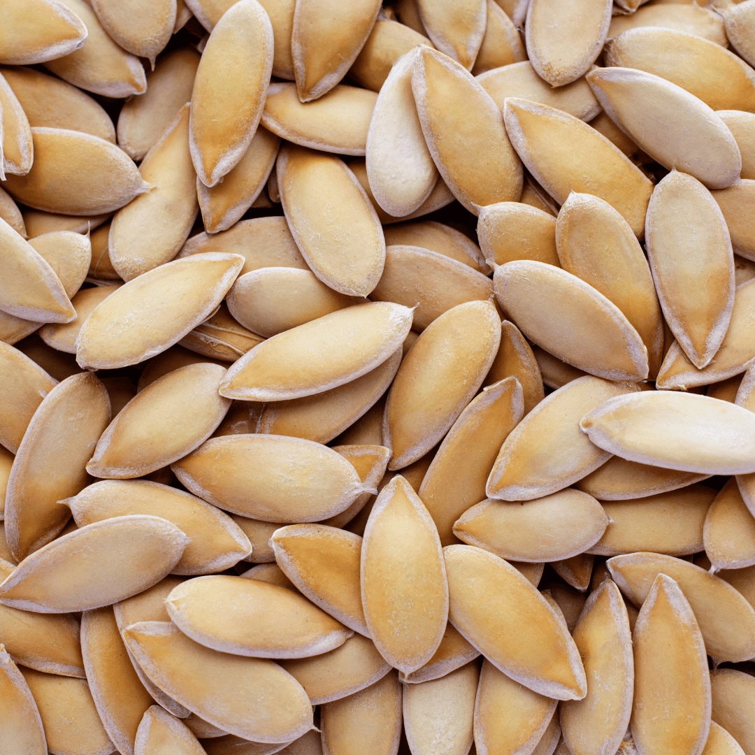 Melionų Cantaloupe sėklos mikrožalumynams, 25g - Image 3