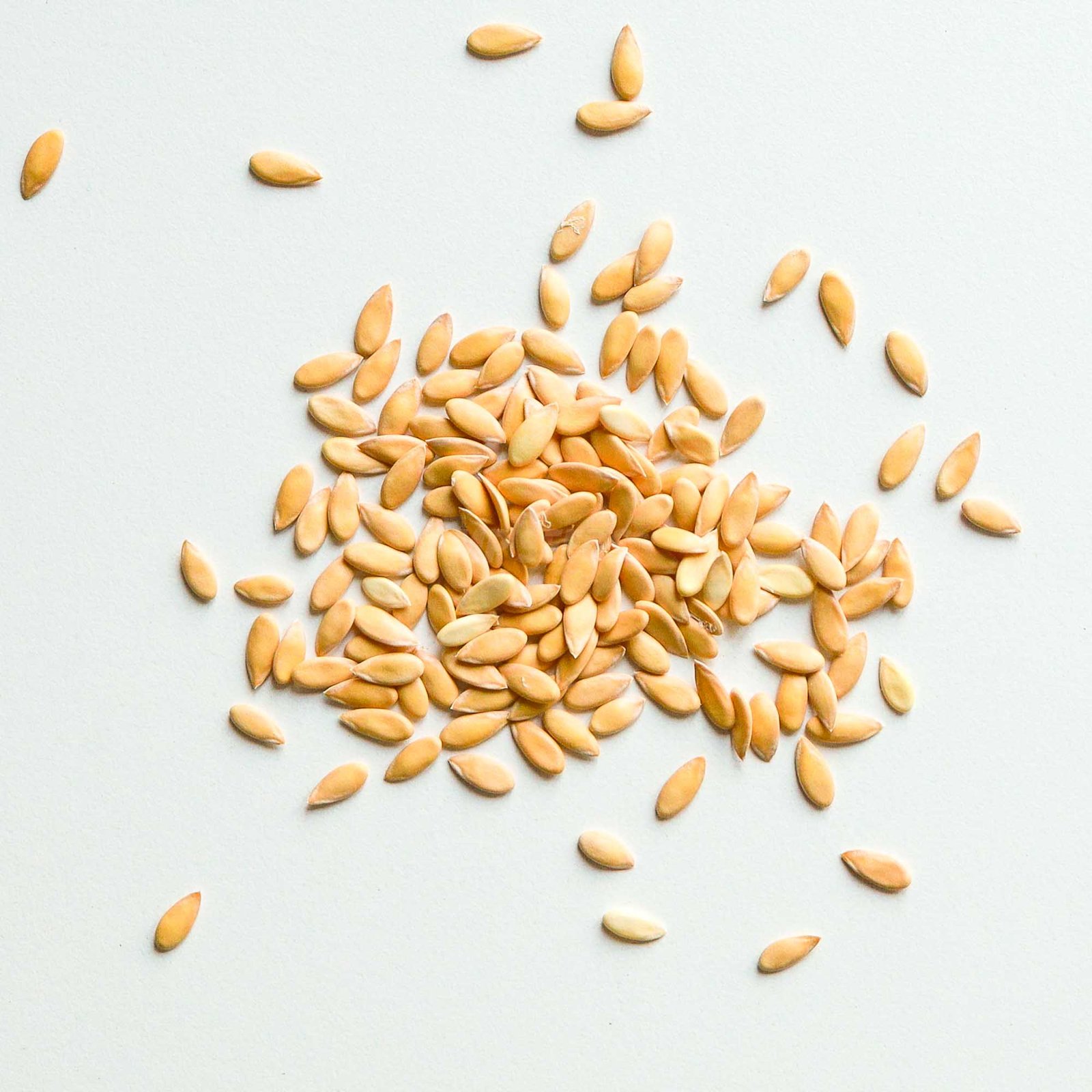 Melionų Cantaloupe sėklos mikrožalumynams, 25g - Image 4