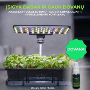 Išmanioji Let Pot daigykla su Dovana