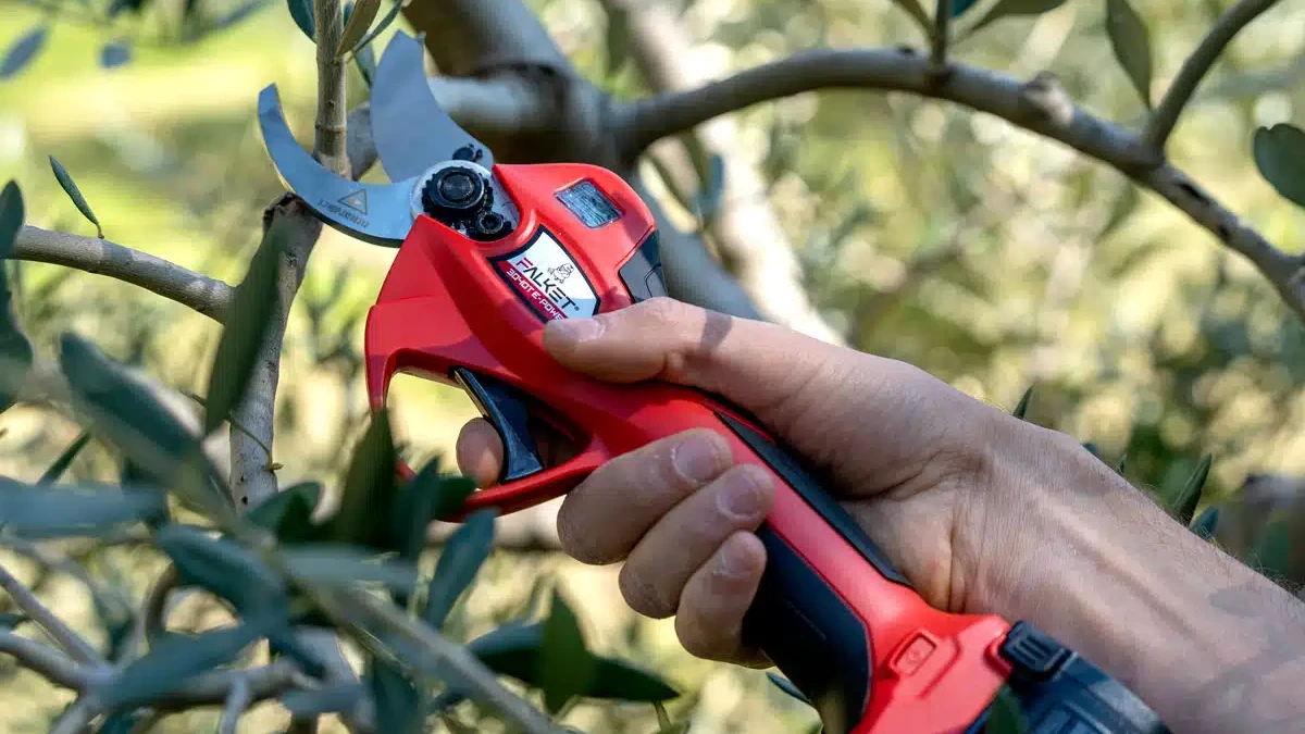 Elektrinis_sekatorius_genetuvas